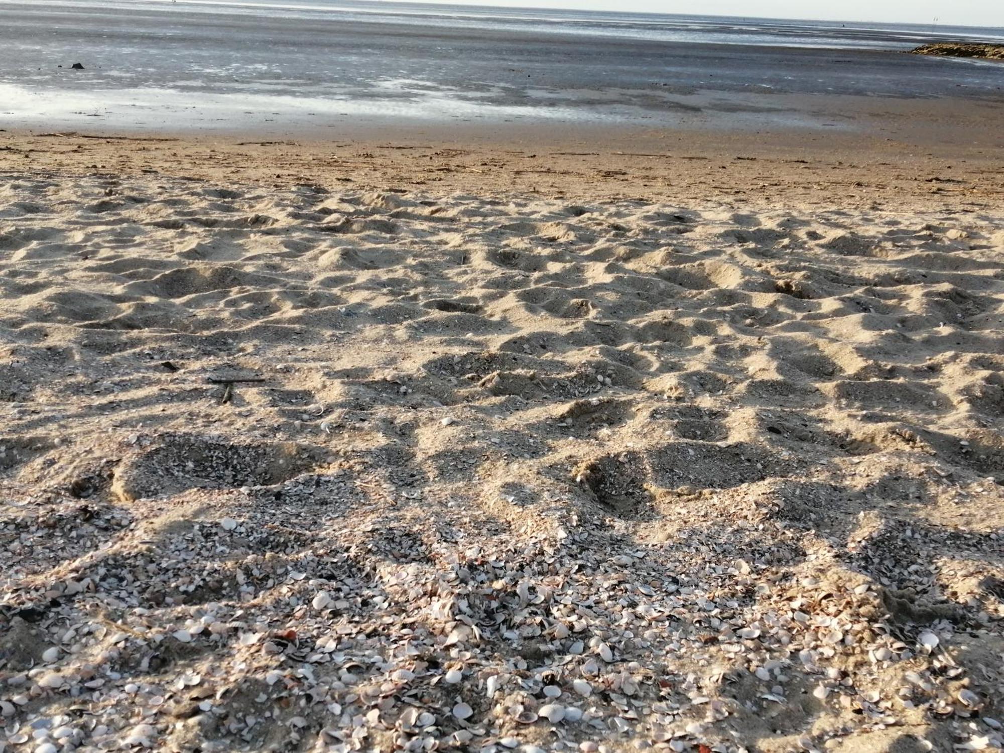 Steffis-Strand-Schule Куксхафен Экстерьер фото